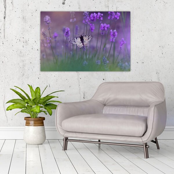 Slika - Leptir u lavandi (90x60 cm)