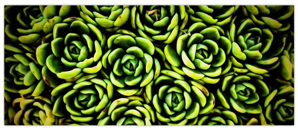 Slika čuvarkuće (120x50 cm)