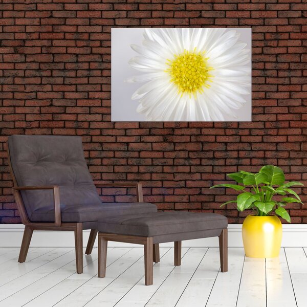 Slika - Margarita (90x60 cm)