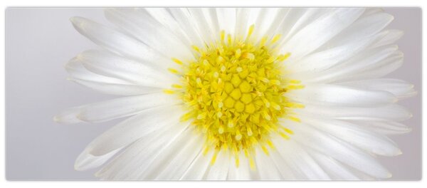 Slika - Margarita (120x50 cm)