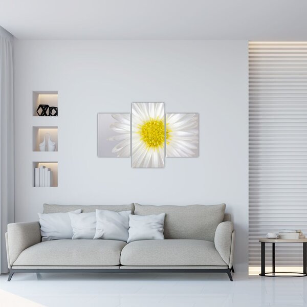 Slika - Margarita (90x60 cm)