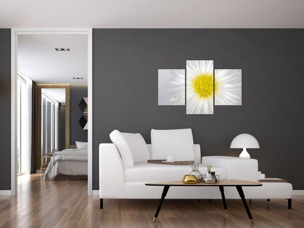 Slika - Margarita (90x60 cm)