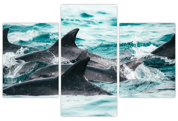 Slika - Dupini u oceanu (90x60 cm)
