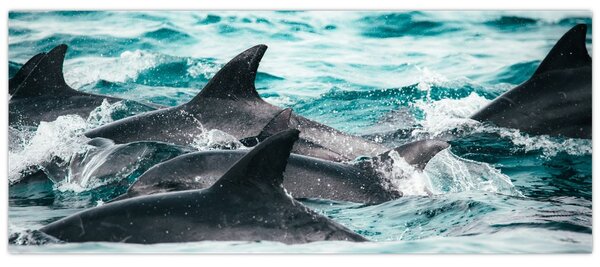 Slika - Dupini u oceanu (120x50 cm)