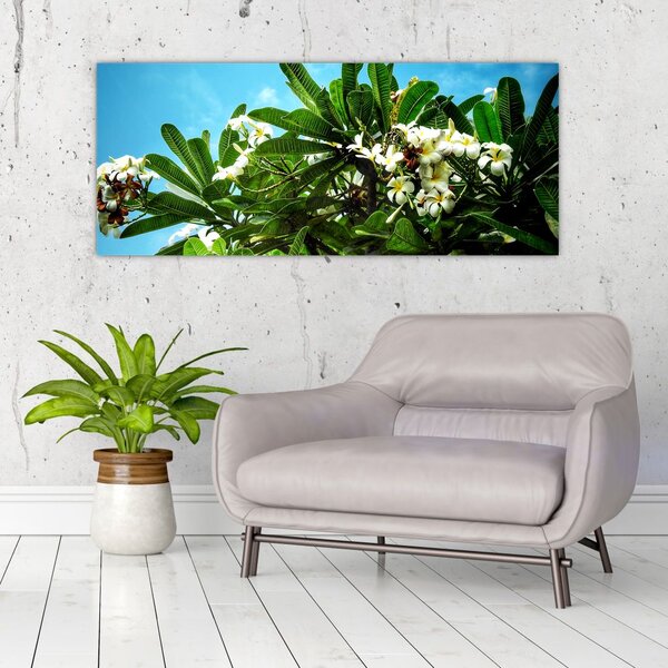 Slika - Plumerija (120x50 cm)