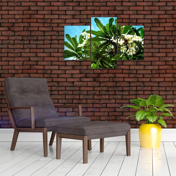 Slika - Plumerija (90x60 cm)