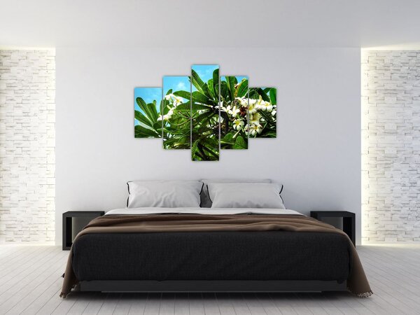 Slika - Plumerija (150x105 cm)