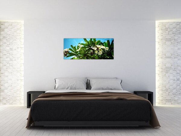 Slika - Plumerija (120x50 cm)