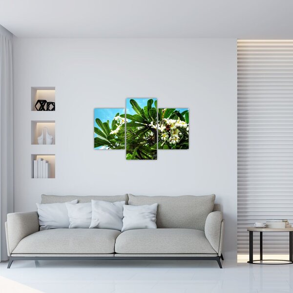 Slika - Plumerija (90x60 cm)