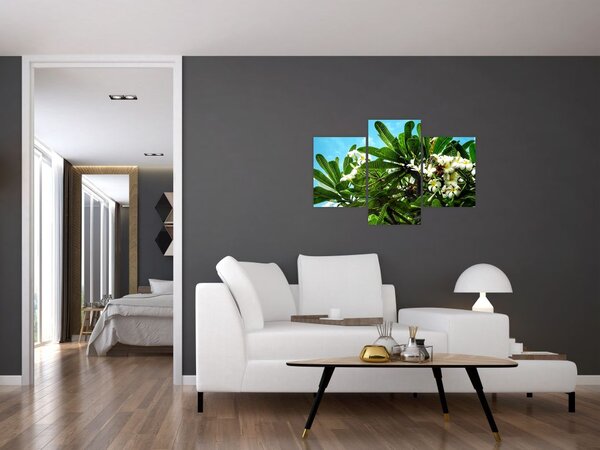 Slika - Plumerija (90x60 cm)