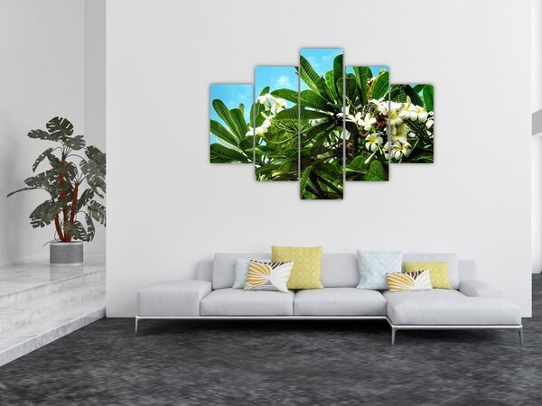 Slika - Plumerija (150x105 cm)