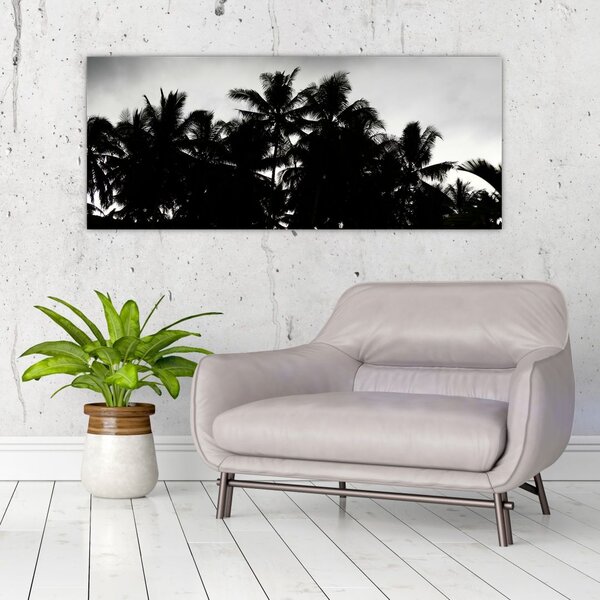 Crno-bijela slika - palme (120x50 cm)