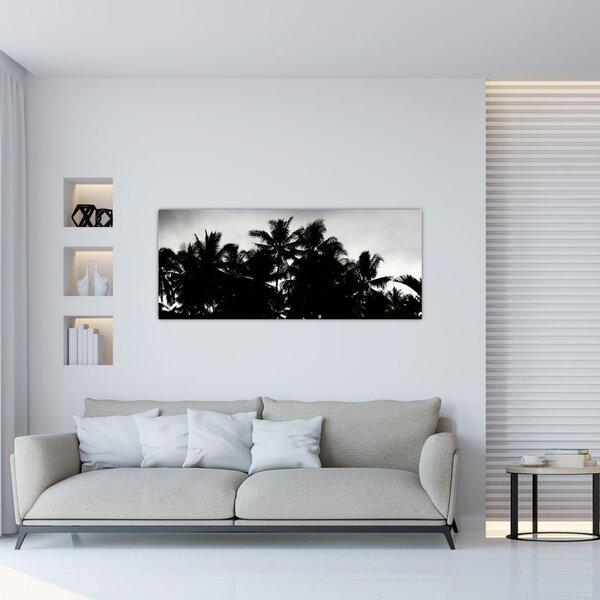Crno-bijela slika - palme (120x50 cm)