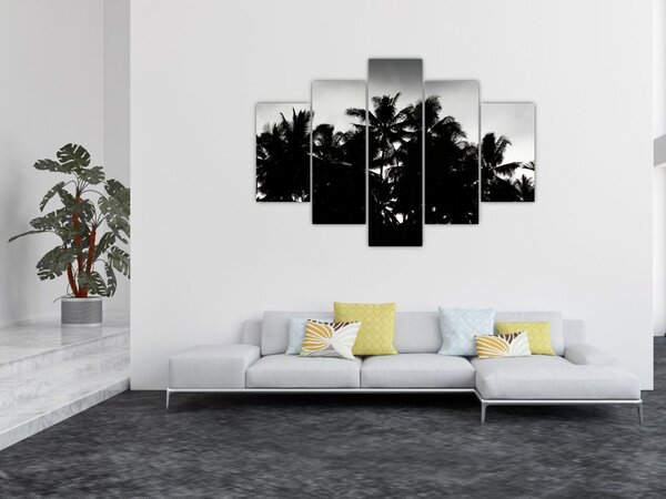 Crno-bijela slika - palme (150x105 cm)