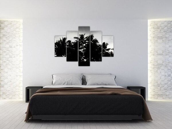 Crno-bijela slika - palme (150x105 cm)