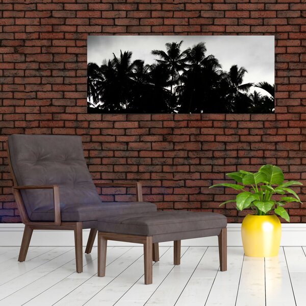 Crno-bijela slika - palme (120x50 cm)