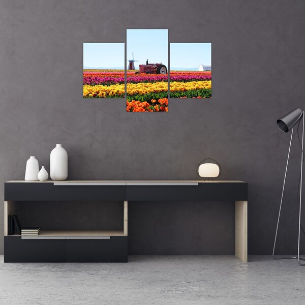 Slika farme tulipana (90x60 cm)