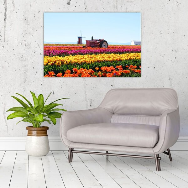 Slika farme tulipana (90x60 cm)