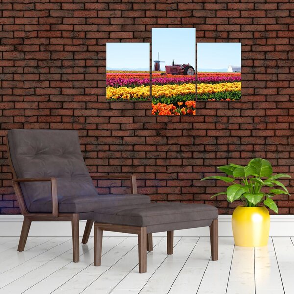 Slika farme tulipana (90x60 cm)