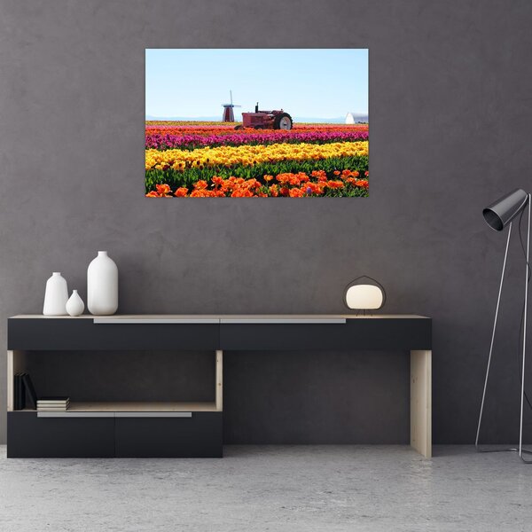 Slika farme tulipana (90x60 cm)