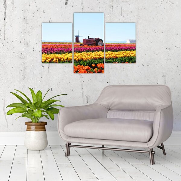 Slika farme tulipana (90x60 cm)