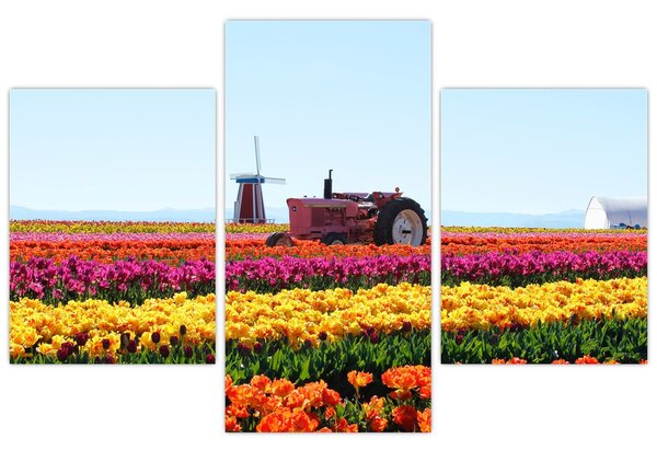 Slika farme tulipana (90x60 cm)