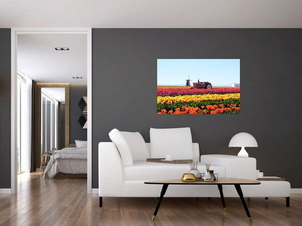 Slika farme tulipana (90x60 cm)
