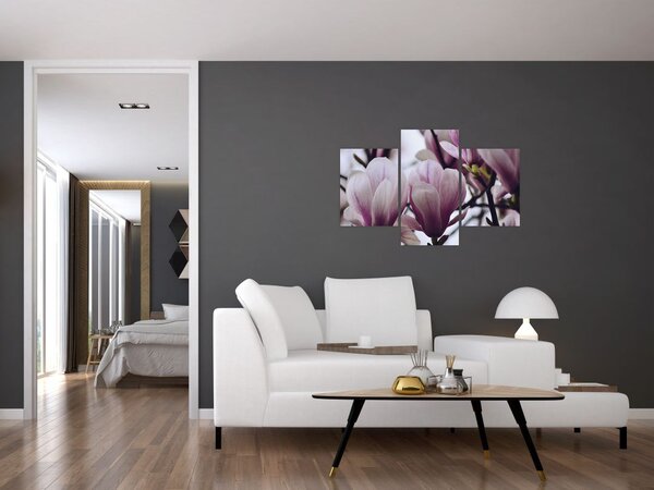 Slika - Magnolija (90x60 cm)