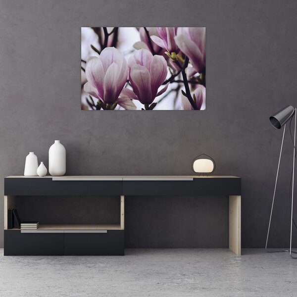 Slika - Magnolija (90x60 cm)