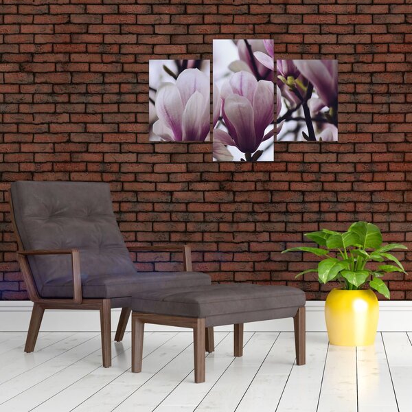 Slika - Magnolija (90x60 cm)