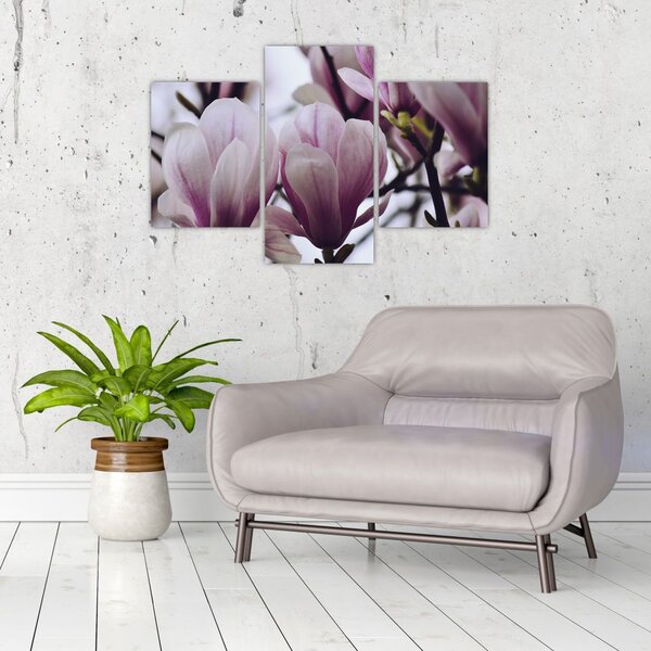 Slika - Magnolija (90x60 cm)