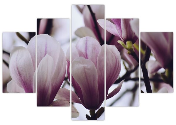 Slika - Magnolija (150x105 cm)
