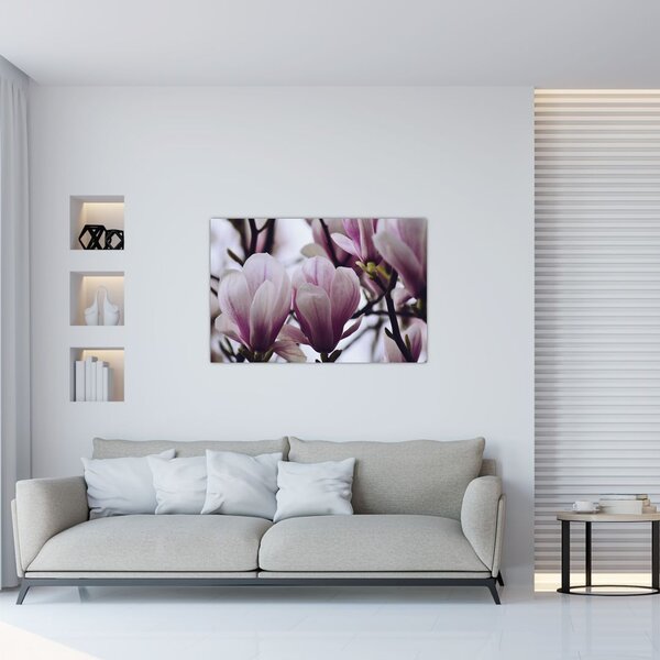 Slika - Magnolija (90x60 cm)