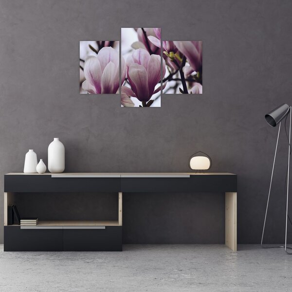 Slika - Magnolija (90x60 cm)