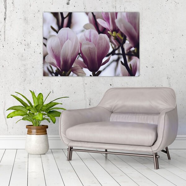 Slika - Magnolija (90x60 cm)