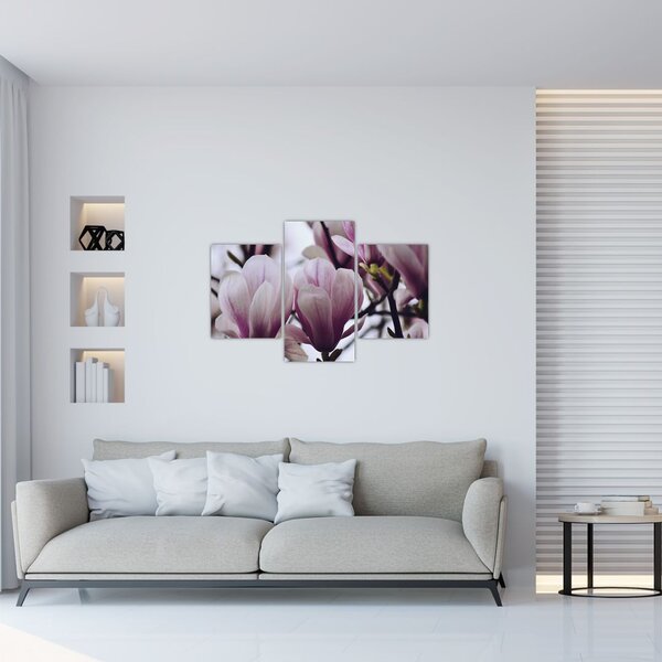 Slika - Magnolija (90x60 cm)