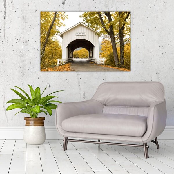 Slika mosta u Oregonu (90x60 cm)