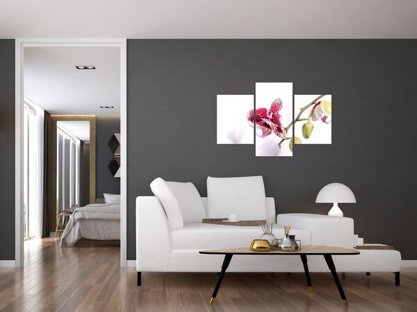 Slika cvijeta orhideje (90x60 cm)