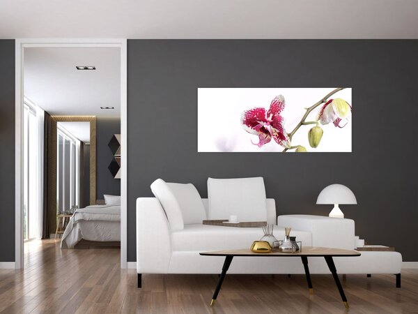 Slika cvijeta orhideje (120x50 cm)