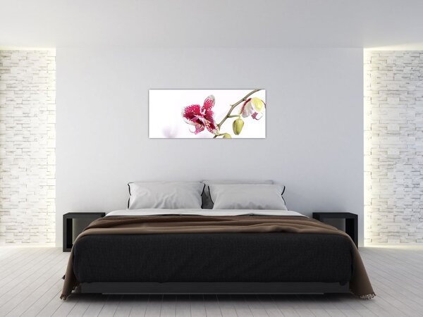 Slika cvijeta orhideje (120x50 cm)