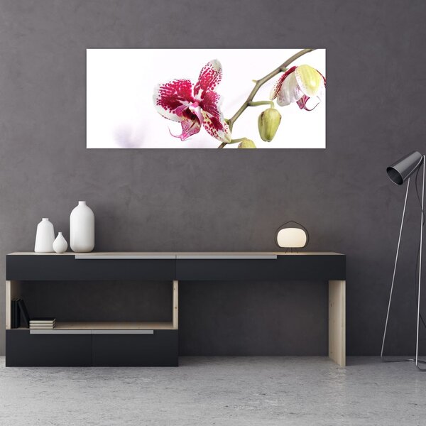 Slika cvijeta orhideje (120x50 cm)