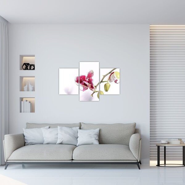 Slika cvijeta orhideje (90x60 cm)