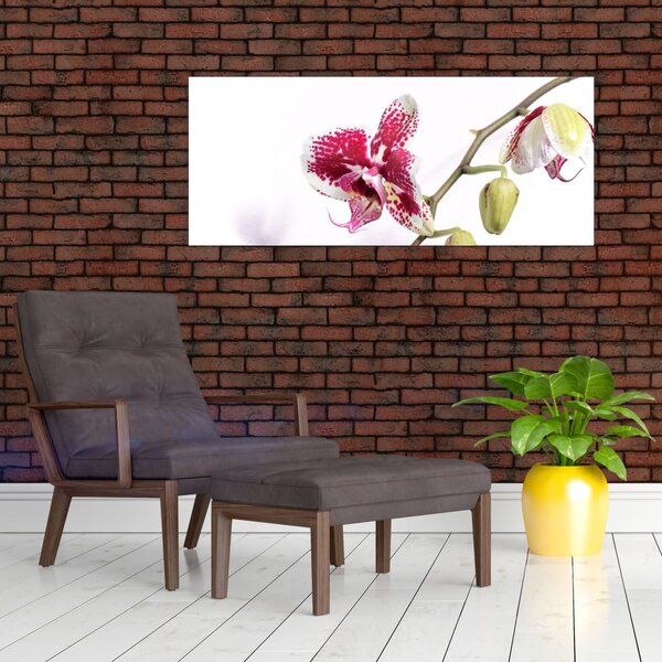 Slika cvijeta orhideje (120x50 cm)