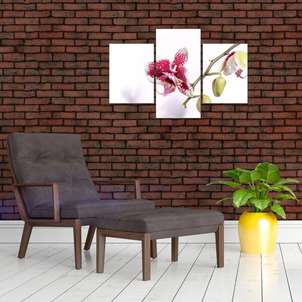 Slika cvijeta orhideje (90x60 cm)