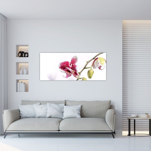 Slika cvijeta orhideje (120x50 cm)