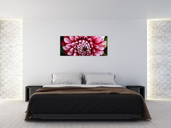 Slika ružičaste dalije (120x50 cm)