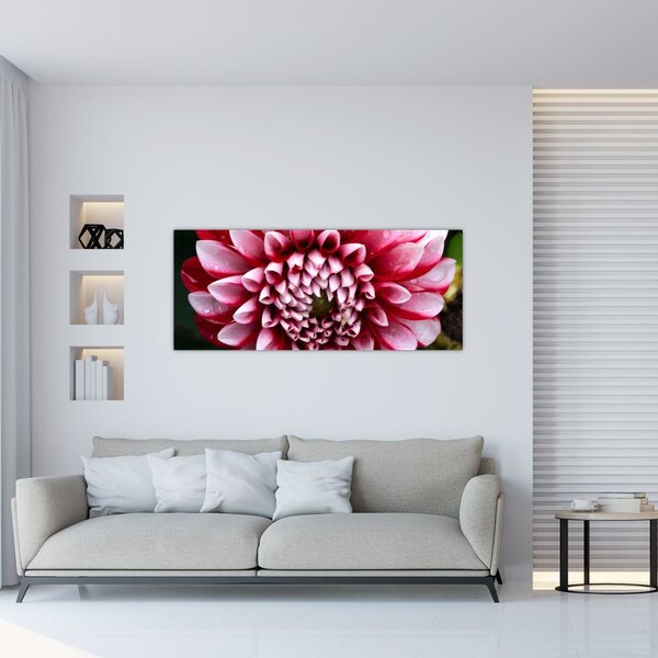Slika ružičaste dalije (120x50 cm)