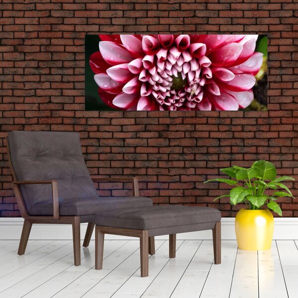 Slika ružičaste dalije (120x50 cm)