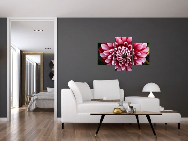 Slika ružičaste dalije (90x60 cm)