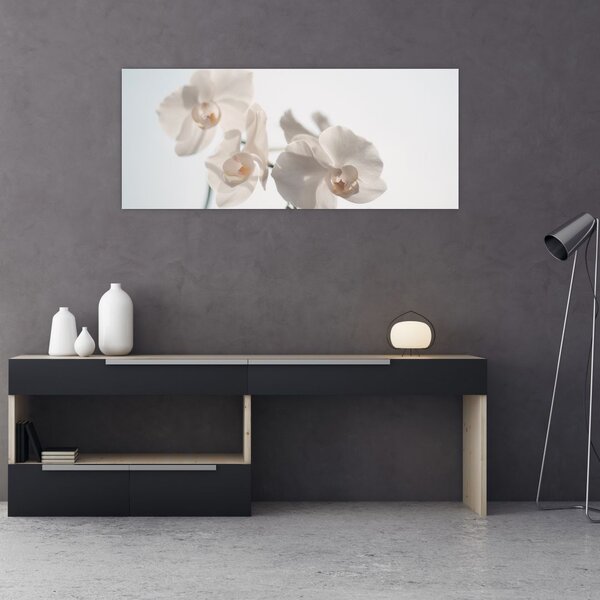 Slika bijele orhideje (120x50 cm)